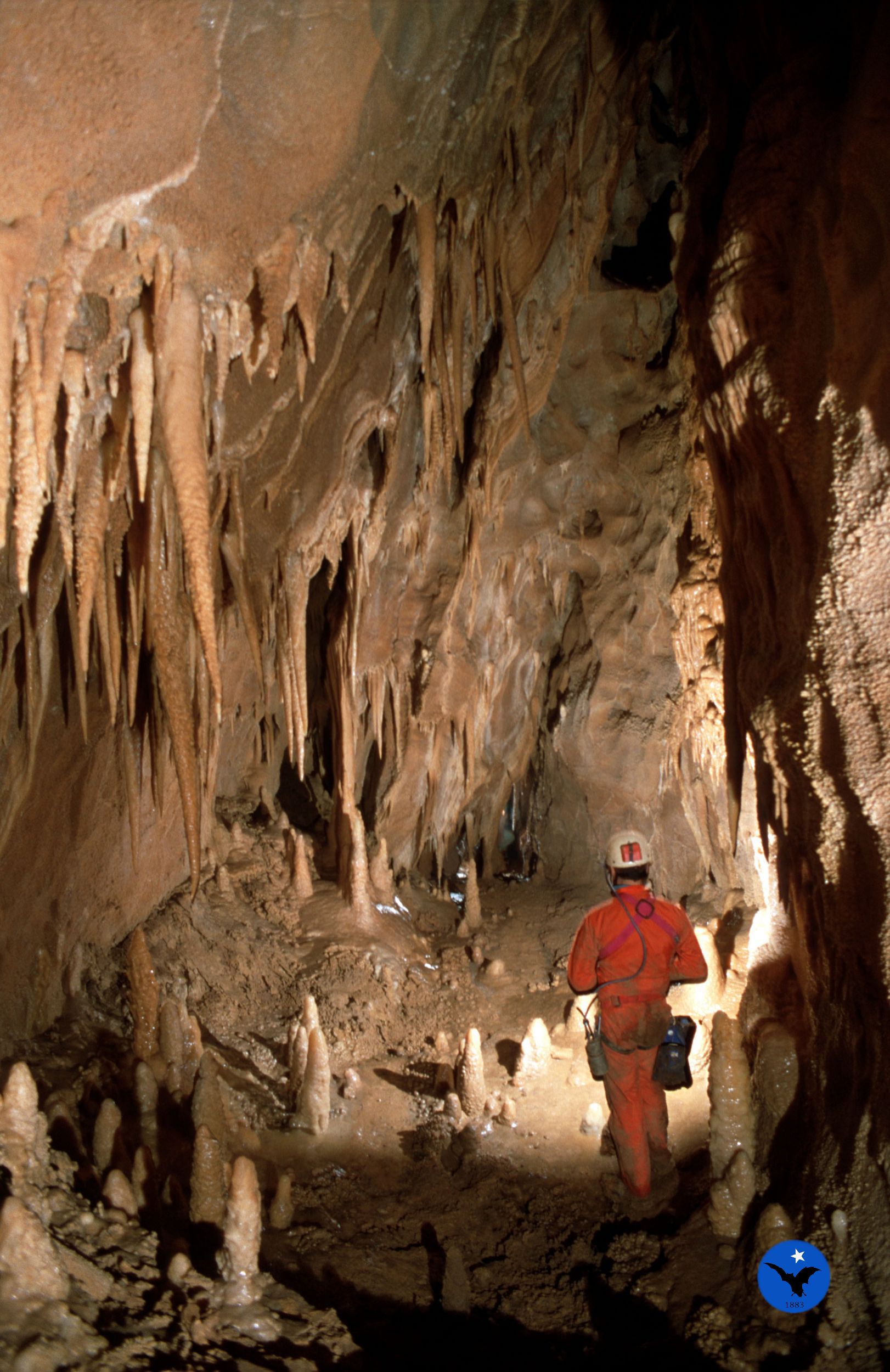 Catasto Storico delle grotte - Commissione Grotte Eugenio Boegan