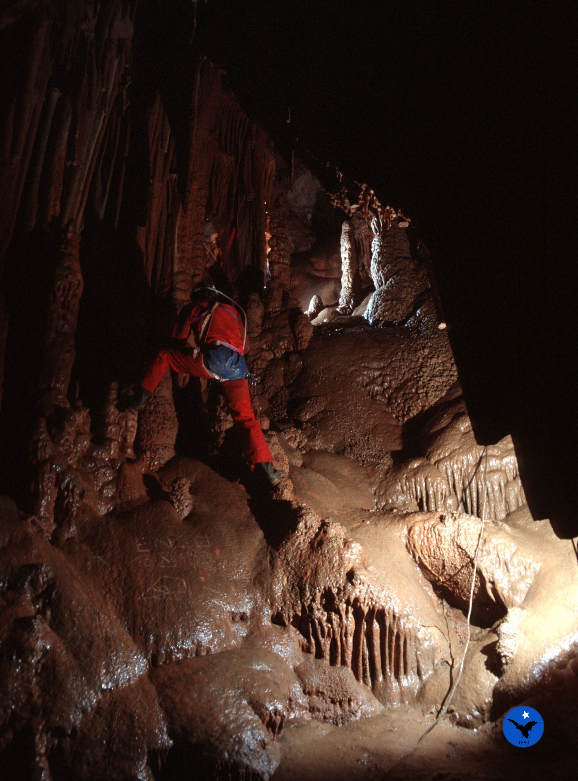 GROTTA DEI CRISTALLI: Tutto quello che c'è da sapere (AGGIORNATO